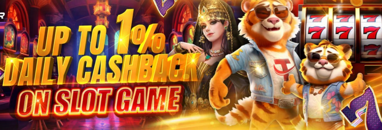 555win